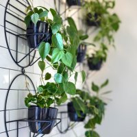 Дизайн интерьера пиццерии